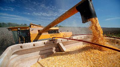 The July WASDE report's potential outcome