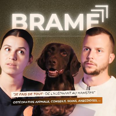 OSTÉOPATHE ANIMALIER : les bienfaits de l’ostéopathie sur nos animaux OSTÉOPATHE ANIMALIER : les bienfaits de l’ostéopathie sur nos animaux