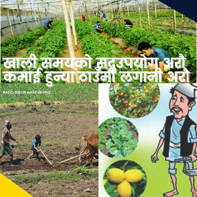 खाली समयको सदुउपयोग अरौ कमाई हुन्या ठाउँमी लगानी अरौ