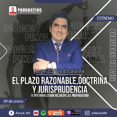 EP. 28 - EL PLAZO RAZONABLE, JURISPRUDENCIA , DOCTRINA Y 5 TIPS PARA LITIGAR MEJOR - TIPS DE LEGALIDAD- ABOOK360