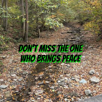 #213 Don’t Miss the Things That Make for Peace #213 Don’t Miss the Things That Make for Peace
