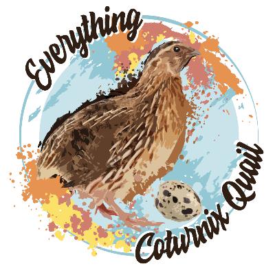 What to Feed Coturnix Quail: The Basics What to Feed Coturnix Quail: The Basics