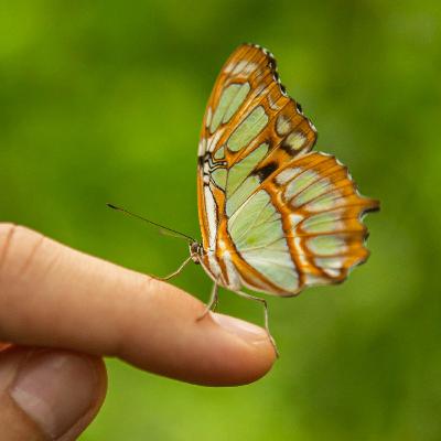 305 Let Go 305 Let Go