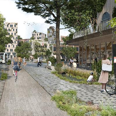 Building Back Better