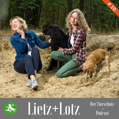 Weihnachten und Tierschutz