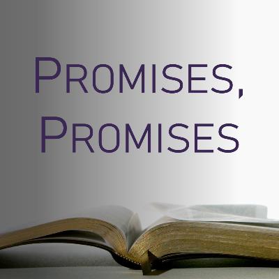 Promises, Promises Promises, Promises