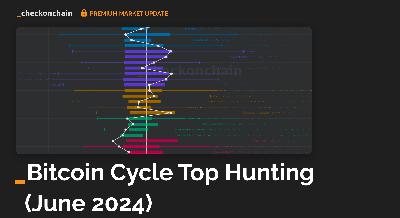 Bitcoin Cycle Top Hunting: June 2024