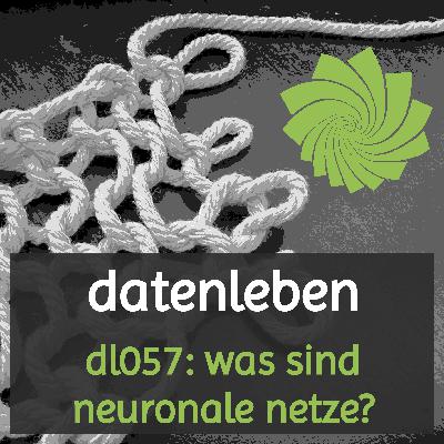 dl057: was sind neuronale netze? dl057: was sind neuronale netze?