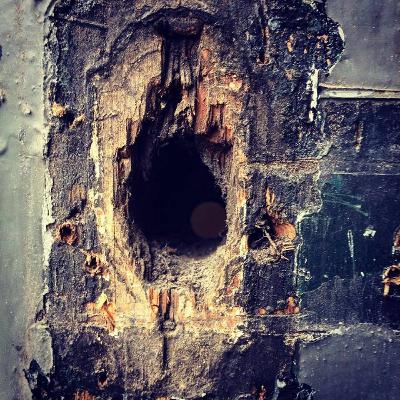 81 Valentijn Goethals (The Black Heart Rebellion) 81 Valentijn Goethals (The Black Heart Rebellion)