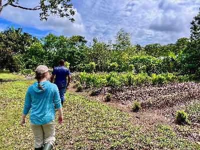 Feeding the Rainforest at Osa Conservation