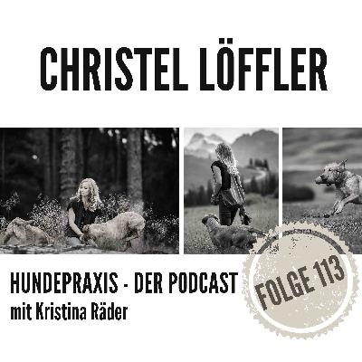 Hundepersönlichkeiten - Was Buchhaltung und Party gemeinsam haben, oder eben auch nicht!