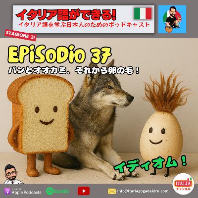 Ep.37 S2 – パンとオオカミ、それから卵の毛！