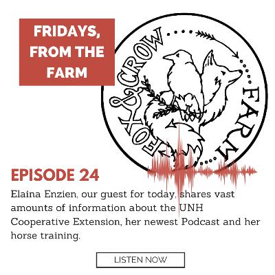Interview with Elaina at UNH Cooperative Ext., her latest Podcast and Horse Training