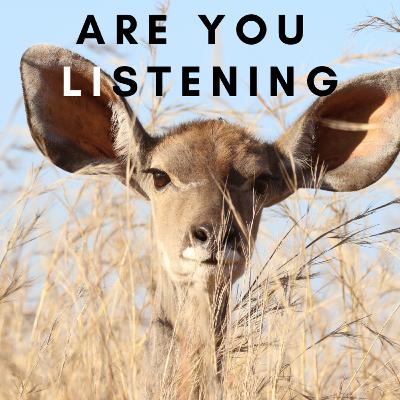 Are You Listening? Are You Listening?