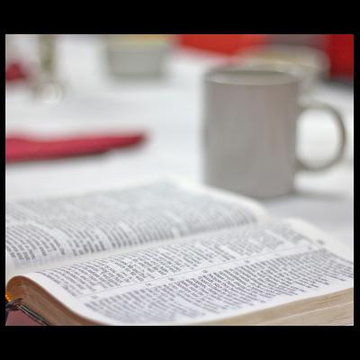 ADDBIBLE® Romans 1   - Without Excuse