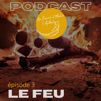 LE FEU - épisode 3