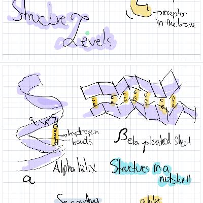 Proteins - Episode 10 #