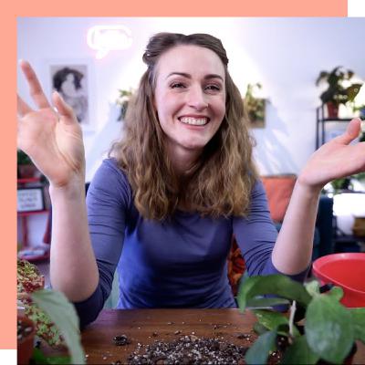 Betsy Begonia | Getting Back to Society and Plant Community in France | Wine Down the Week Ep 3 Betsy Begonia | Getting Back to Society and Plant Community in France | Wine Down the Week Ep 3