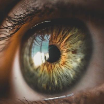 Olhos: As Janelas da Alma