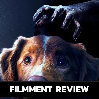 รีวิว Good Boy - มะหมาเห็นผี l Filmment Review รีวิว Good Boy - มะหมาเห็นผี l Filmment Review