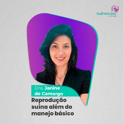 REPRODUÇÃO SUÍNA ALÉM DO MANEJO BÁSICO - Dra. Janine de Camargo | Ep. 355 REPRODUÇÃO SUÍNA ALÉM DO MANEJO BÁSICO - Dra. Janine de Camargo | Ep. 355