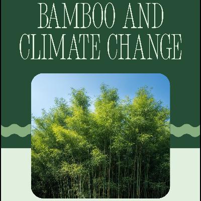 How Bamboo can mitigate Climate Change