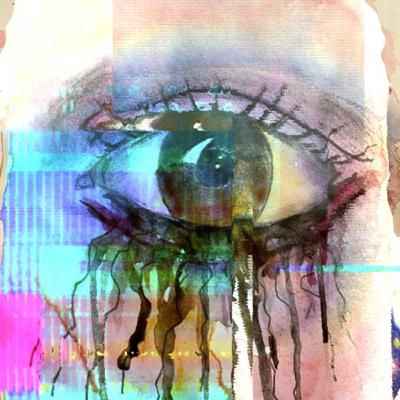 Salvia divinorum: un mundo onírico de terror Salvia divinorum: un mundo onírico de terror