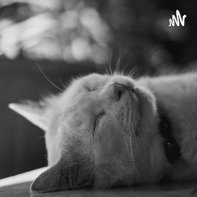 Tentang ikhlas yang tidak pernah sempurna