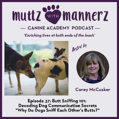 Episode 37: Butt Sniffing 101: Decoding Dog Communication Secrets  "Why Do Dogs Sniff Each Other's Butts?"