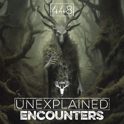 448 | 10 REAL & DISTURBING Haunted Forest Stories