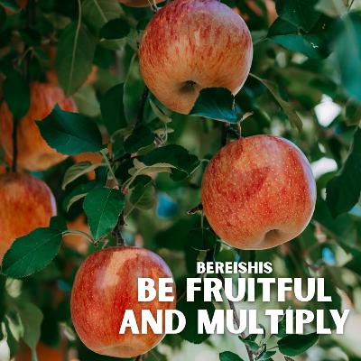 Bereishis - Be Fruitful and Multiply