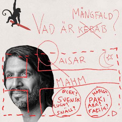 Qaisar Mahmood - Vad är mångfald?