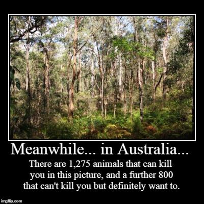10. The Australia Show