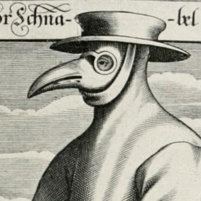 El "CubreBocas" (La Mascarilla) El "CubreBocas" (La Mascarilla)