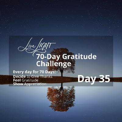 Gratitude Challenge Day 35 – Daily Happiness