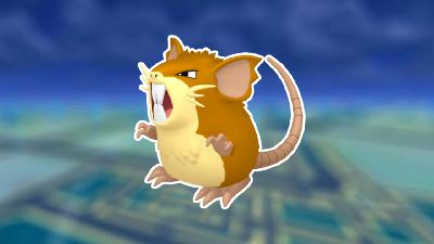 Raticate | Stats, Moves, Evolution & Locations | The Pokemon Pokedex With Rhys & Felicity