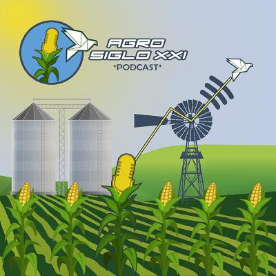 T2E4 Un camino hacia algo mejor.