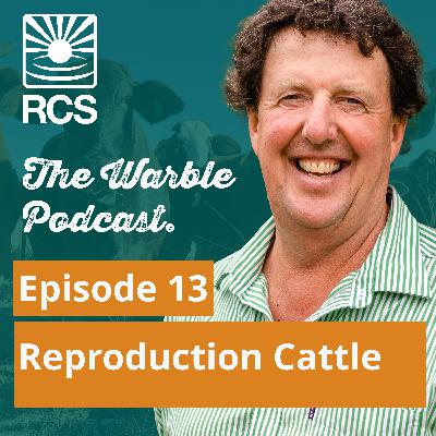Episode 13: Reproduction Principles Cattle