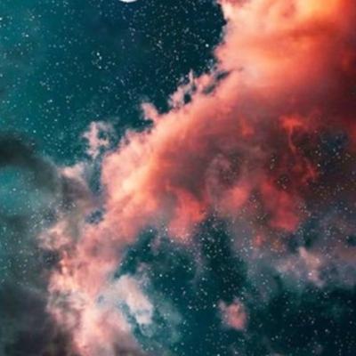 Teerth and Owens French project