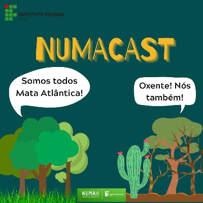 T3: E5 - Mata Atlântica no interior do Piauí: é verdade esse bilhete?