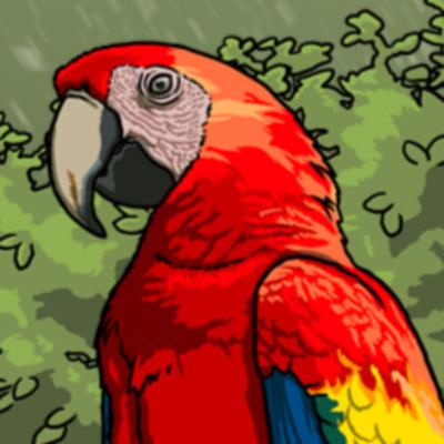 Rainforest Day Special 2025