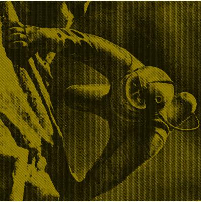 Sol Shadda - MonoWarp