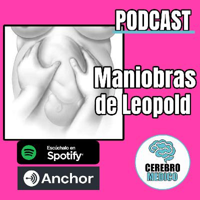 Maniobras de Leopold Maniobras de Leopold