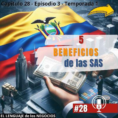 028 Cinco BENEFICIOS de las SAS
