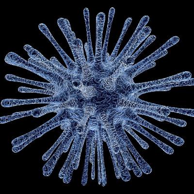 Coronavirus y desarrollismo en el turismo