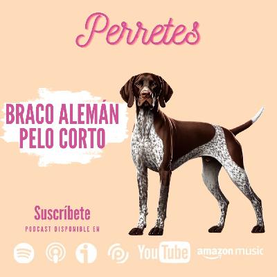 Ep87: Braco alemán de pelo corto