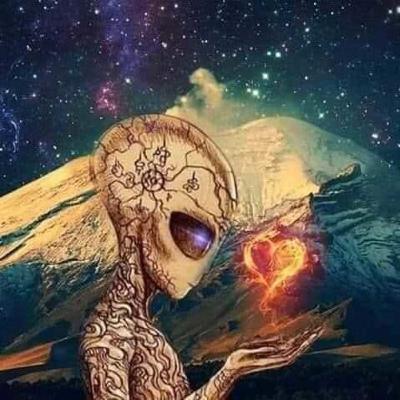 𝐂𝐚𝐬𝐨 𝐓𝐫𝐚𝐯𝐢𝐬 𝐖𝐚𝐥𝐭𝐨𝐧