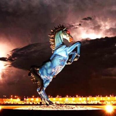 12-09 - Teorías conspirativas falopa 12-09 - Teorías conspirativas falopa