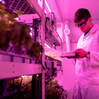 Episode 24: Order food online // First experience: total disappointment