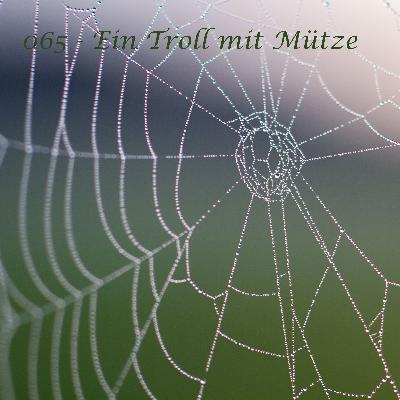 065 - Ein Troll mit Mütze
